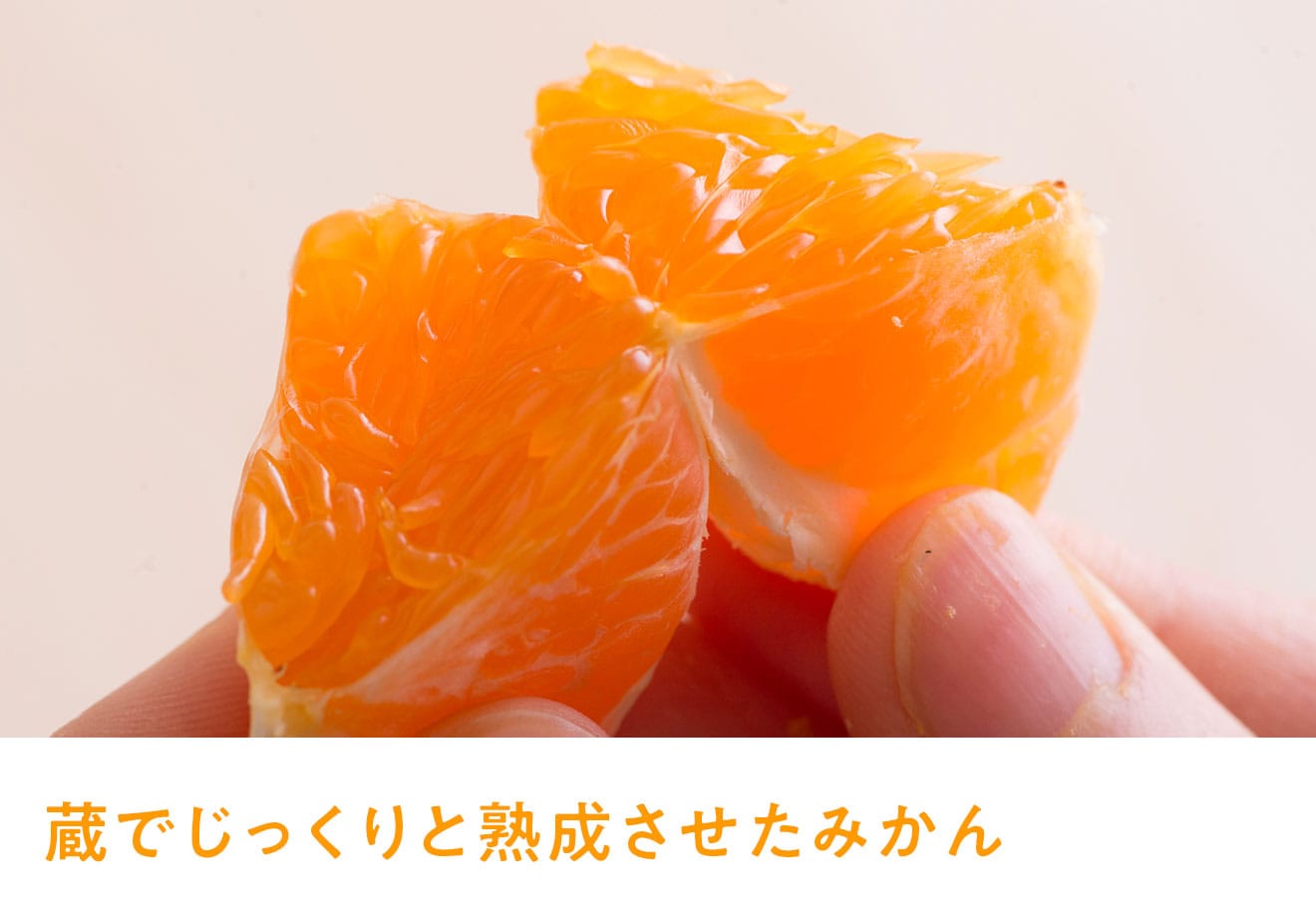 ふぞろい蔵入りみかん｜ Oisix産直おとりよせ市場