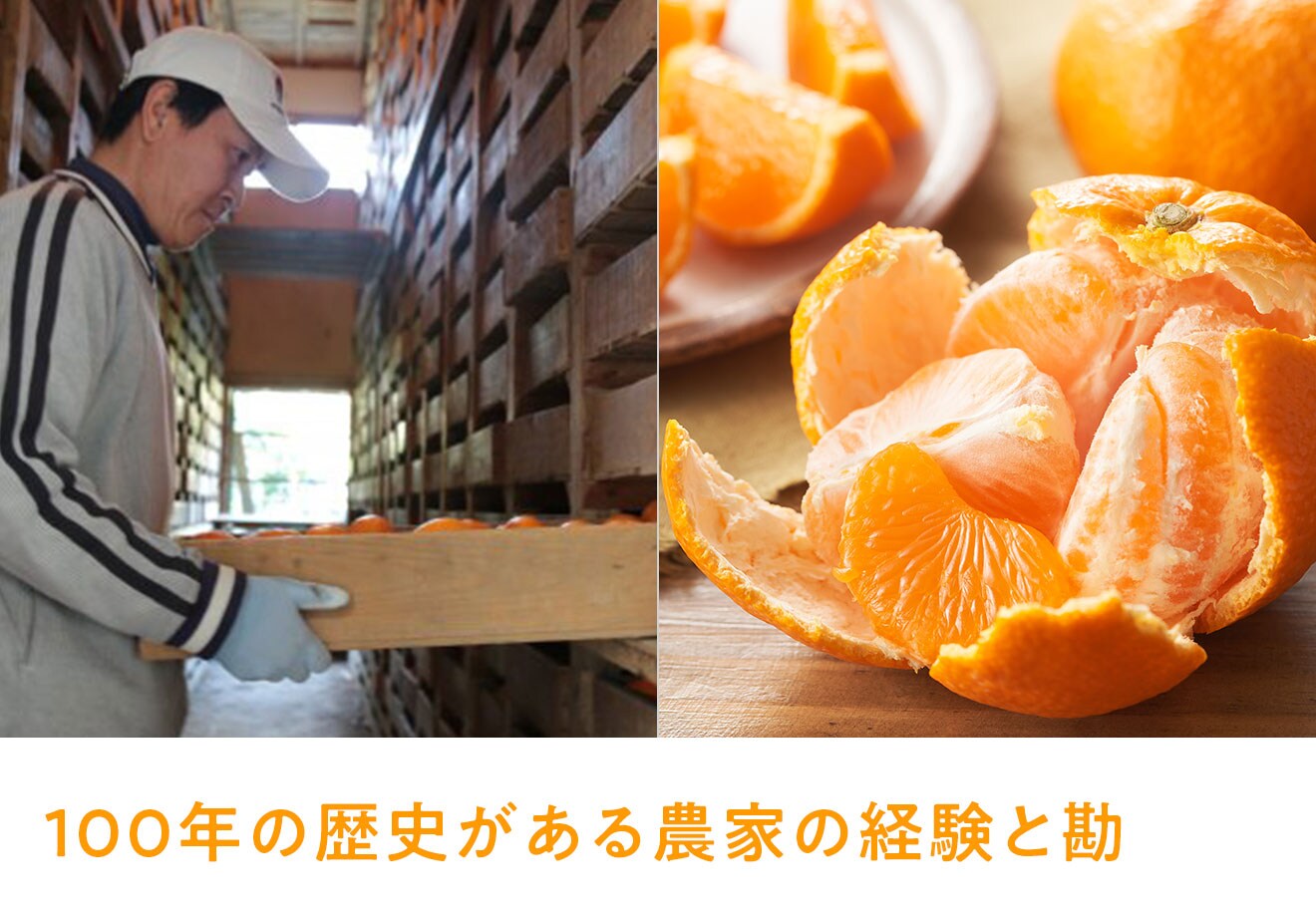 Oisix産直おとりよせ市場｜Oisix