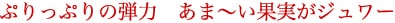 ՂՂ̒é@܁`ʎW[