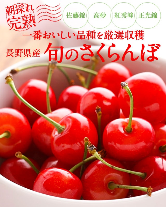 長野県産 旬のさくらんぼ ｏｉｓｉｘ産直おとりよせ市場