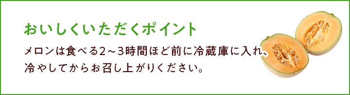 メロンページです。 img202404261509-900.gif