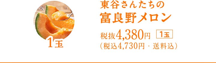 富良野メロン｜ Oisix産直おとりよせ市場