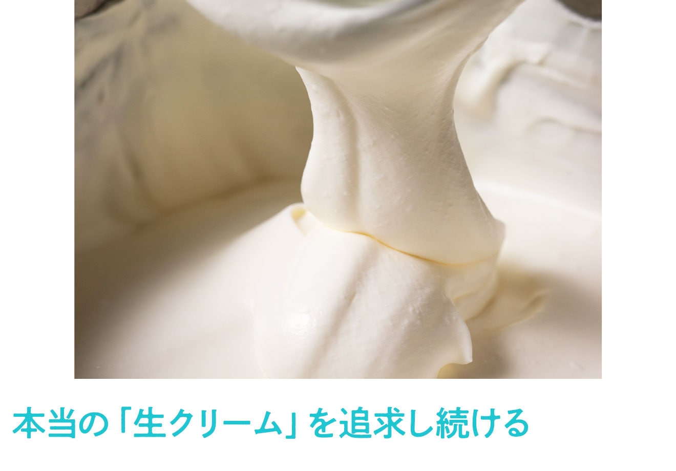 生クリーム専門店ミルクの濃厚生クリームチーズケーキ