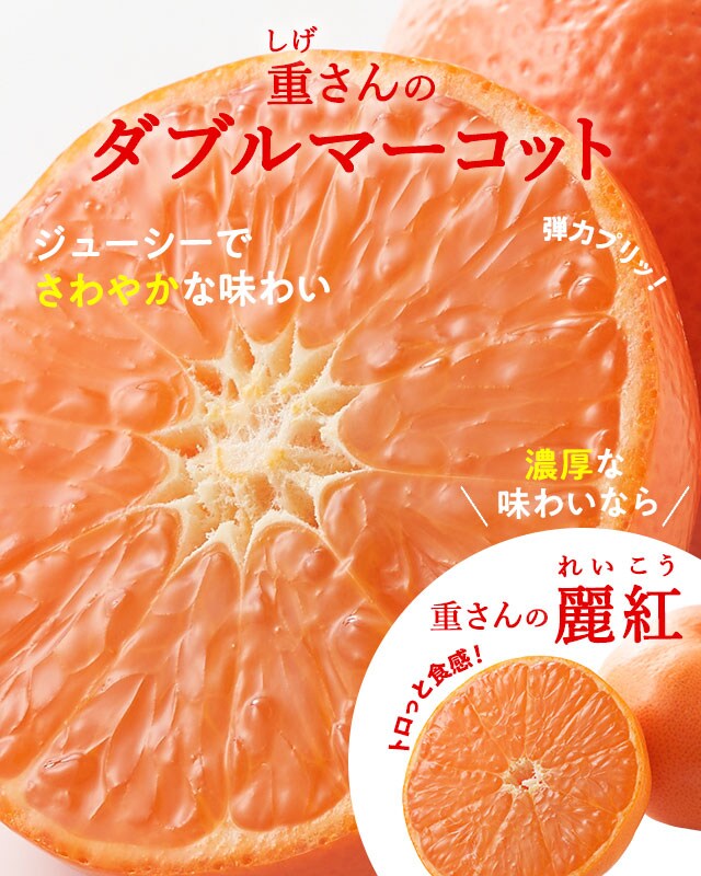 重さんのダブルマーコット 麗紅 oisix産直おとりよせ市場 重さんのダブルマーコット 麗紅 oisix産直おとりよせ市場