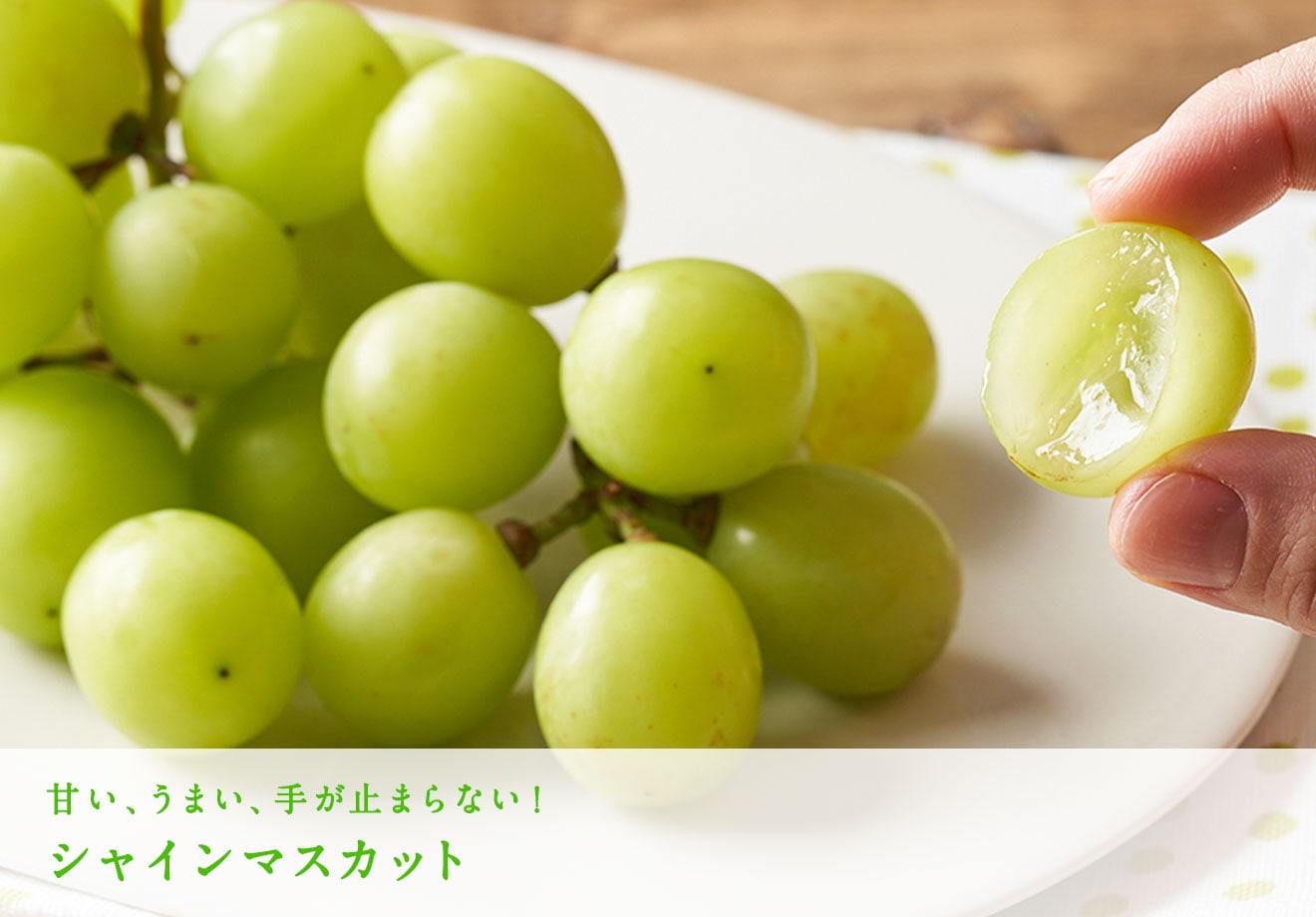 中村さんのずっしりブドウ ｏｉｓｉｘ産直おとりよせ市場