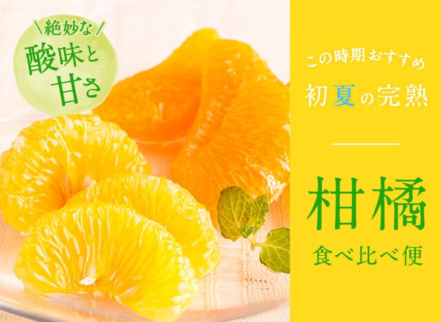 ✨10本セット✨ ふんわり暁月 みかん  期間限定 生産停止 廃盤 初回の方限定】【通常価格より660円引】日々かんきつ酢 270ml
