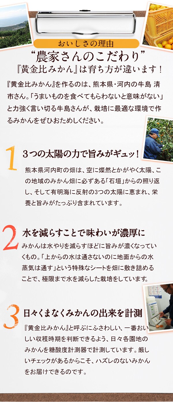 氷空 意味 イメージポケモンコレクション
