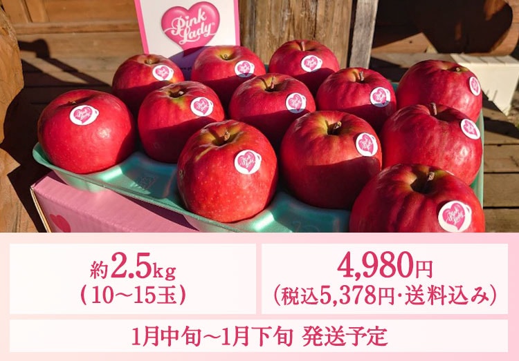 Pinkピンク様　レモンボトル　5本セット Amazon | STARBUCKS スターバックス SAKURA2025ハンディーステンレス