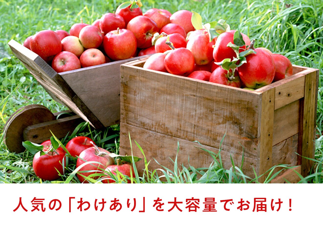Oisix産直おとりよせ市場|Oisix Oisix産直おとりよせ市場|Oisix