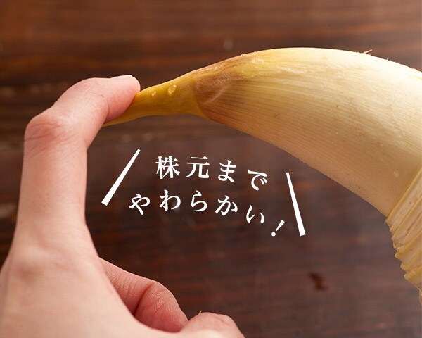 朝掘直送たけのこ| Oisix産直おとりよせ市場 朝掘直送たけのこ| Oisix産直おとりよせ市場