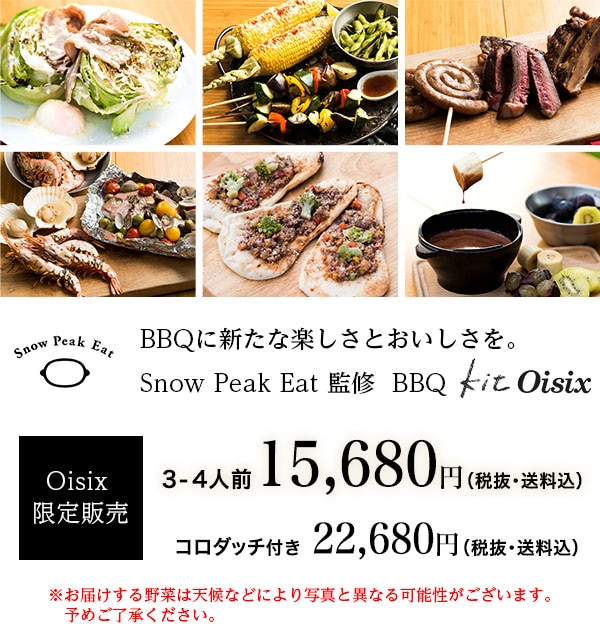 未使用品 レア！ ヤマコウ時代！スノーピーク フォレストグリーン バーベキュー 未使用品 レア！ ヤマコウ時代！スノーピーク フォレスト