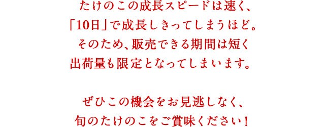 阿久根の朝堀りたけのこ ｏｉｓｉｘ産直おとりよせ市場