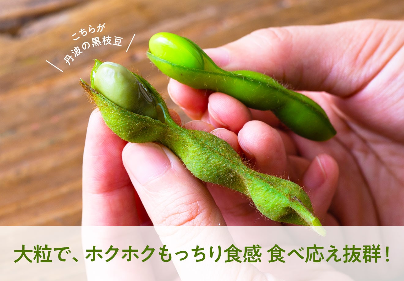 丹波の黒枝豆 ｏｉｓｉｘ産直おとりよせ市場