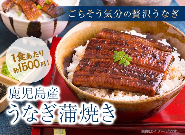 蒲焼4 1656844_00_1756166125.jpg