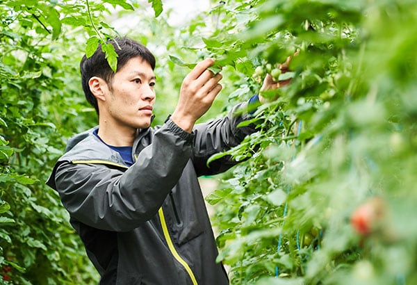 緊急入荷野菜セット| Oisix産直おとりよせ市場 緊急入荷野菜セット| Oisix産直おとりよせ市場