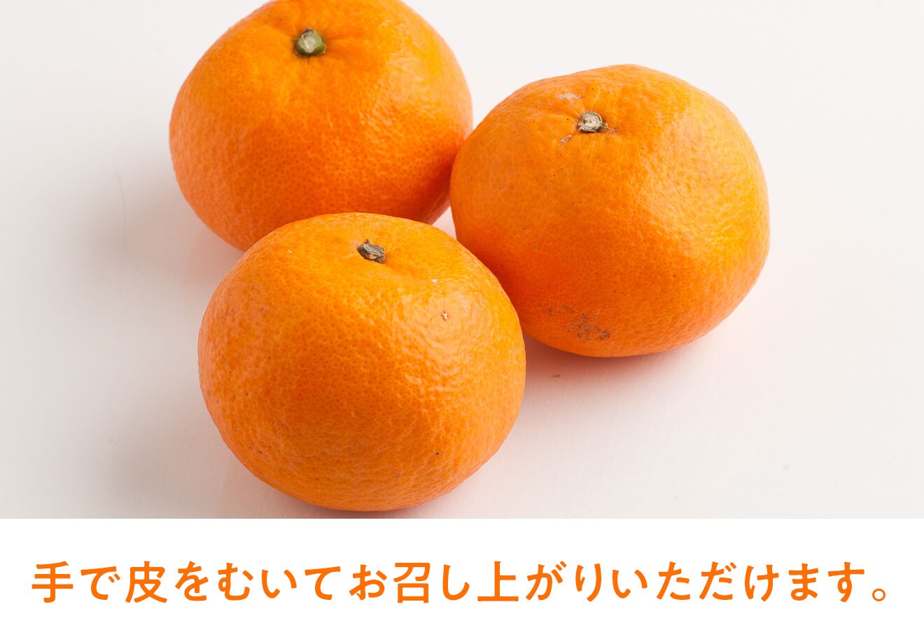 重さんのジューシー柑橘｜ Ｏｉｓｉｘ産直おとりよせ市場
