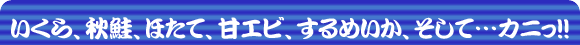 目利き厳選 in 北海道市場