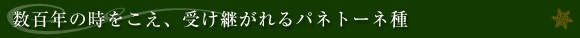 SN̎A󂯌pplg[l