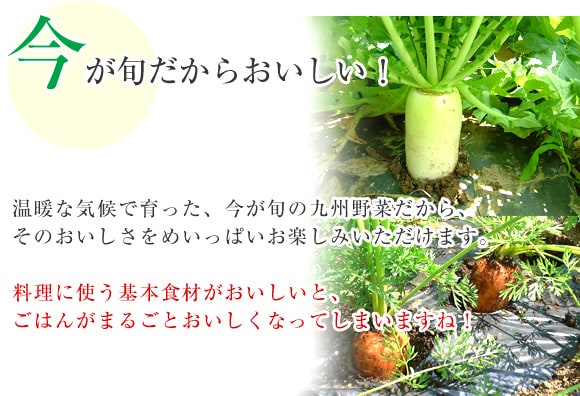 {炨I