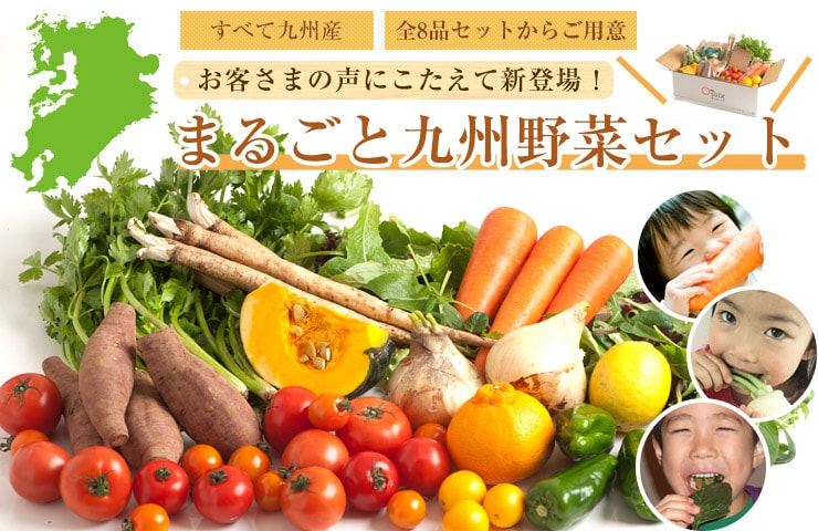 まるごと九州野菜セット