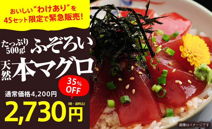 y킯z ӂ낢 VR{}O(Ԃؗp)