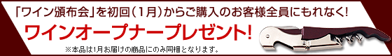Ȃ烏CЕzŵqlɂȂCI[vi[v[gI