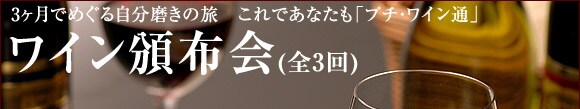 3ŏ鎩̗ łȂv`EC uCЕziS3jv