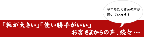 「粒が大きい」「使い勝手がいい」
お客さまからの声、続々…