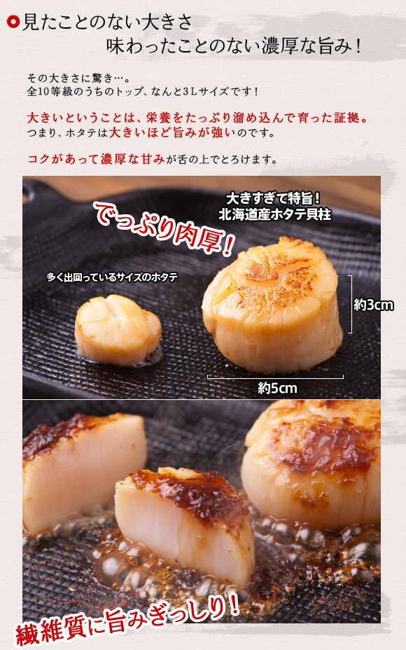 大きすぎて特旨!!北海道野付産ホタテ貝柱―Oisix（おいしっくす