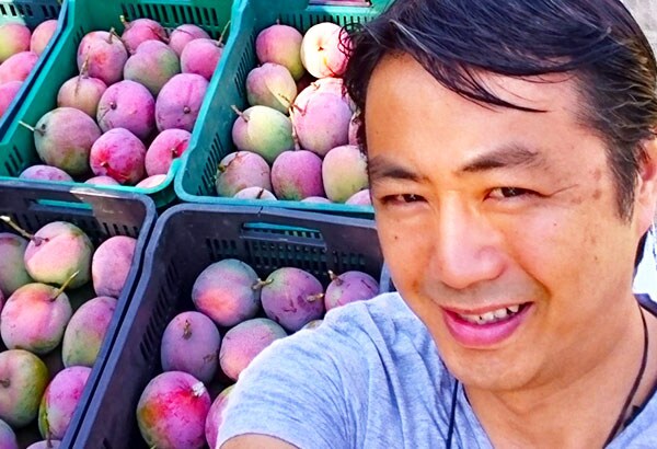 大玉アップルマンゴー｜ Oisix産直おとりよせ市場