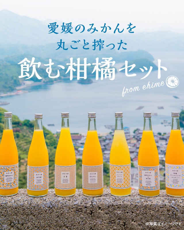 夏季限定 飲む柑橘セット ｏｉｓｉｘ産直おとりよせ市場