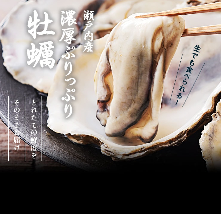 広島県から瀬戸内産 ぷりっぷり牡蠣を産地直送！