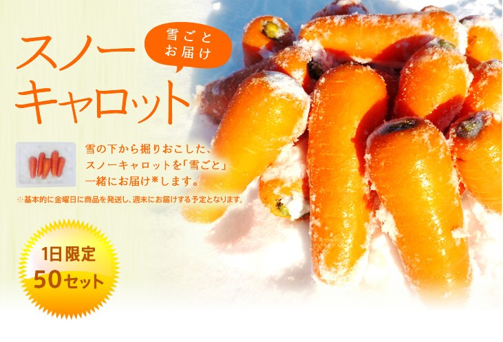 宮城県からスノーキャロット(雪下にんじん)を産地直送!
