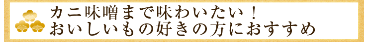 JjX܂Ŗ킢I̍D̕ɂ