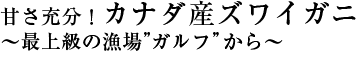 Â[IJi_YYCKj`ŏ㋉̋Kt`