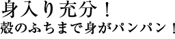 g[Ik̂ӂ܂ŐgppI