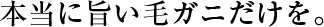 {Ɏ|уKjB