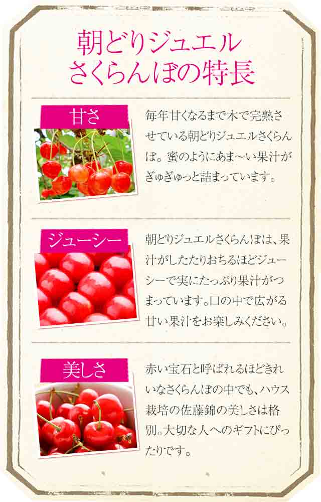 甘みたっぷり ジュエルさくらんぼ 15年の母の日ギフト特集