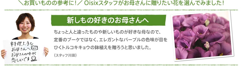 エレガントなトルコキキョウ チェリービー 15年の母の日ギフト特集