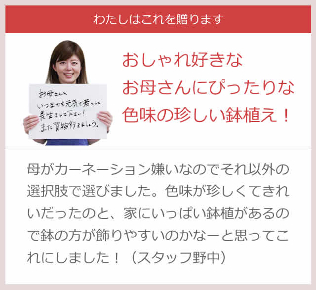 ベゴニアの鉢植え ボリアス 16年 Oisix母の日ギフト特集