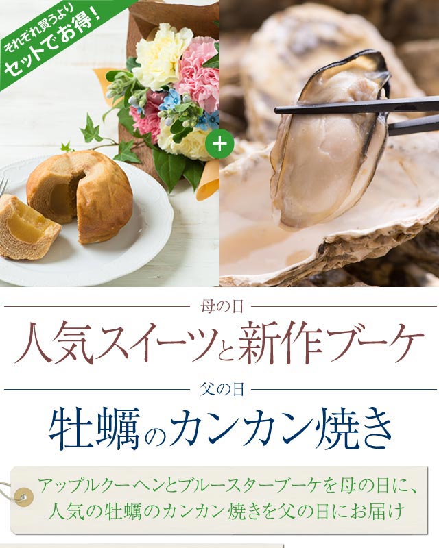 母の日 魔法のﾌﾞｰｹ ﾌﾞﾙｰｽﾀｰ ｶｰﾈｰｼｮﾝ 銀座ｱｯﾌﾟﾙｸｰﾍﾝ 父の日 牡蠣の缶カン焼き 16年 Oisix母の日 ギフト特集