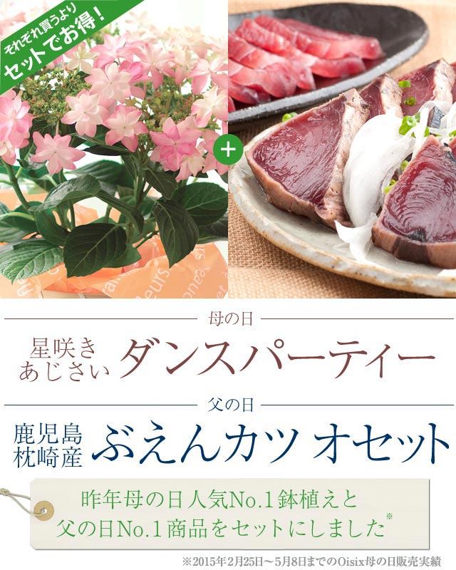 母の日 星咲きあじさい ダンスパーティー 父の日 鹿児島枕崎産 ぶえんカツオの食べ比べセット 16年 Oisix母の日ギフト特集