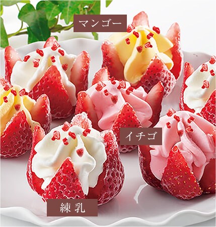 創作アイス 花いちご 16年 Oisix母の日ギフト特集