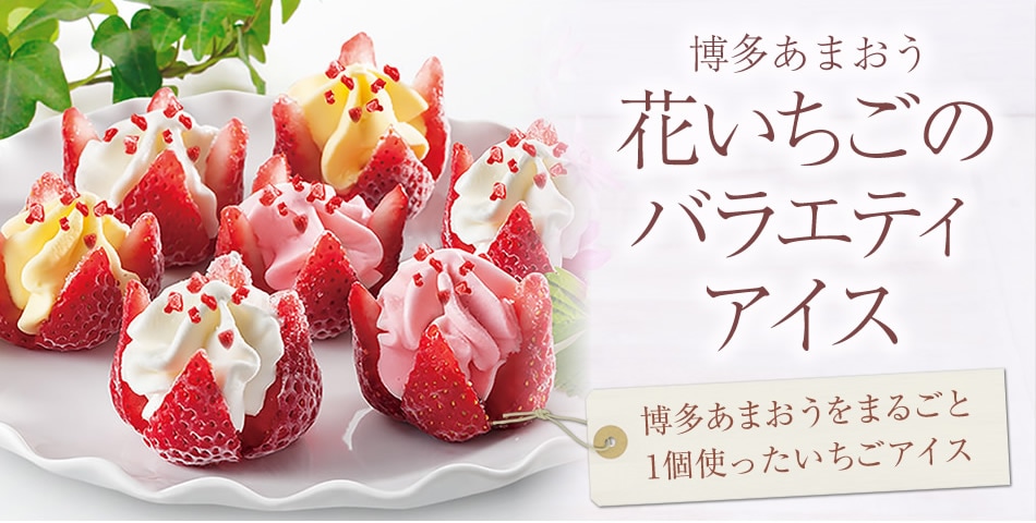 創作アイス 花いちご 16年 Oisix母の日ギフト特集 創作アイス 花いちご 16年 Oisix母の日ギフト特集