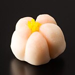 梅の花