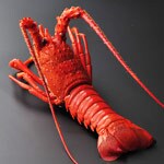 伊勢海老