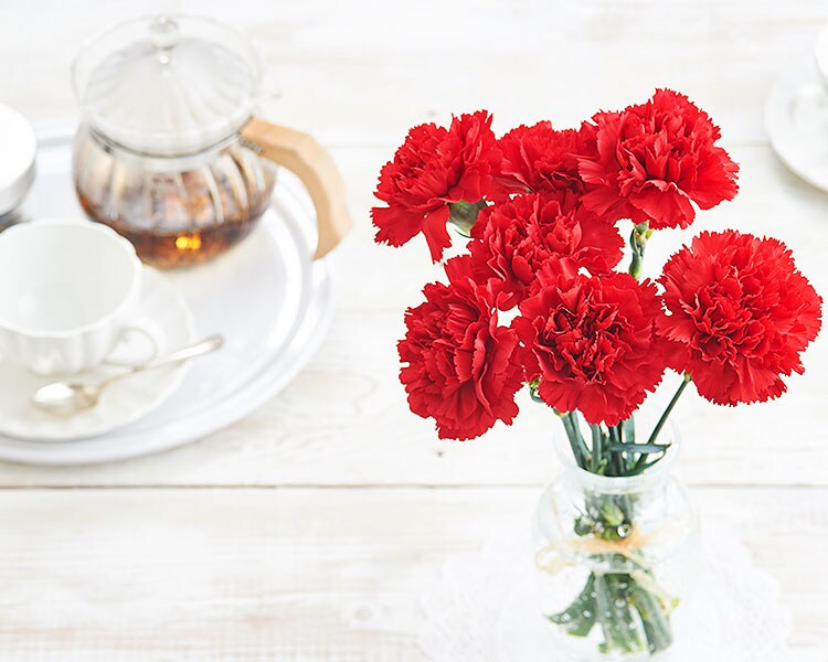 赤カーネーション 18年 Oisix母の日ギフト特集