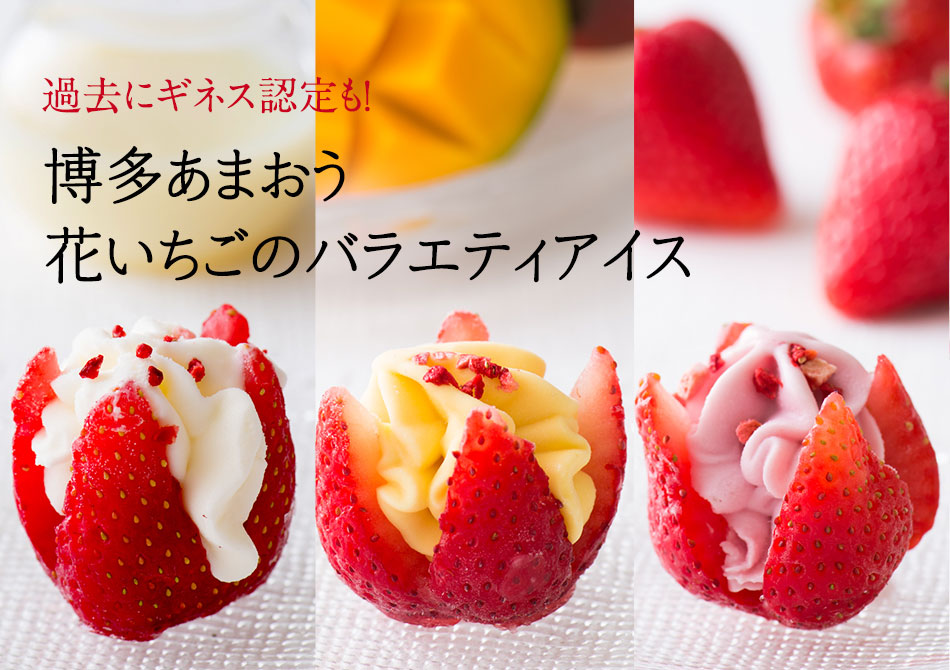 博多あまおう花いちごのバラエティアイス 18年 Oisix父の日ギフト特集 博多あまおう花いちごのバラエティアイス 18年 Oisix父の日ギフト特集