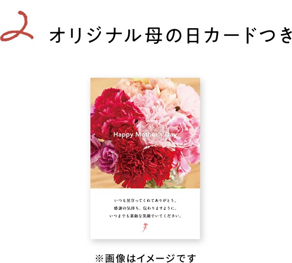 アンリ シャルパンティエ フィナンシェ マドレーヌ詰合せ 21年 Oisix母の日ギフト特集