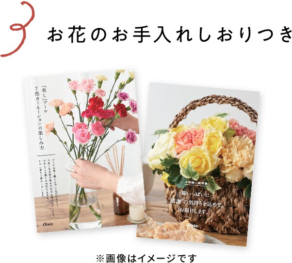 アンリ シャルパンティエ フィナンシェ マドレーヌ詰合せ 21年 Oisix母の日ギフト特集